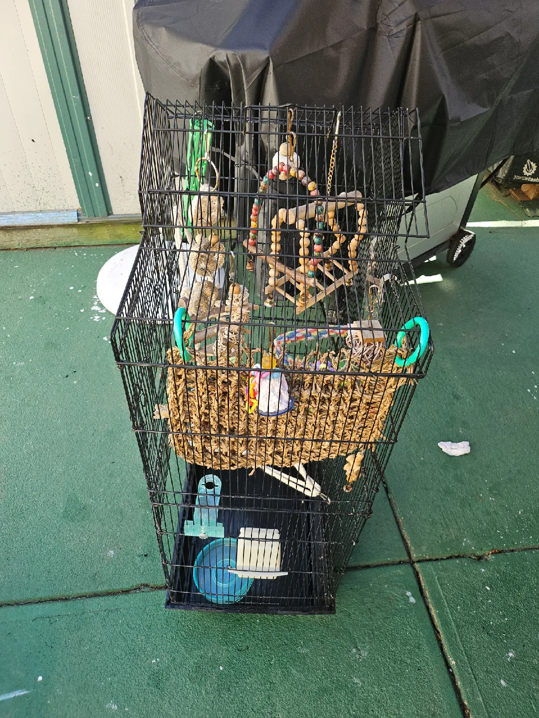 Bird Cage with Accessories image indicator(4)