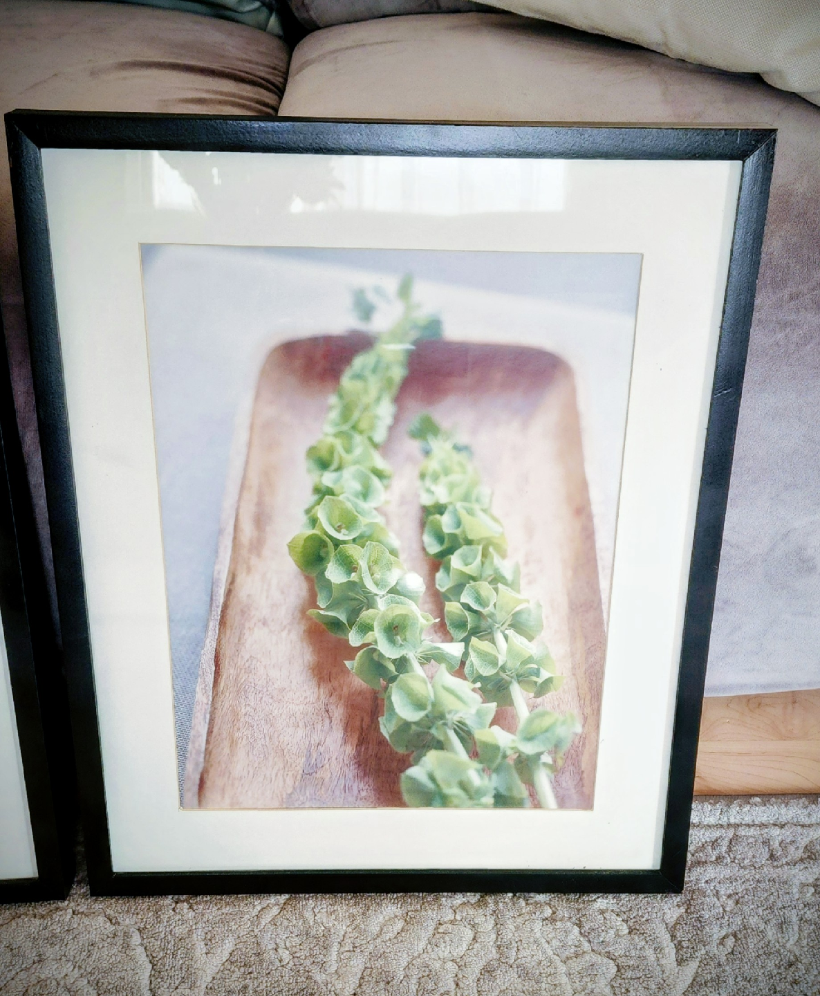 3 set Ikea decor plant photos - photo 2
