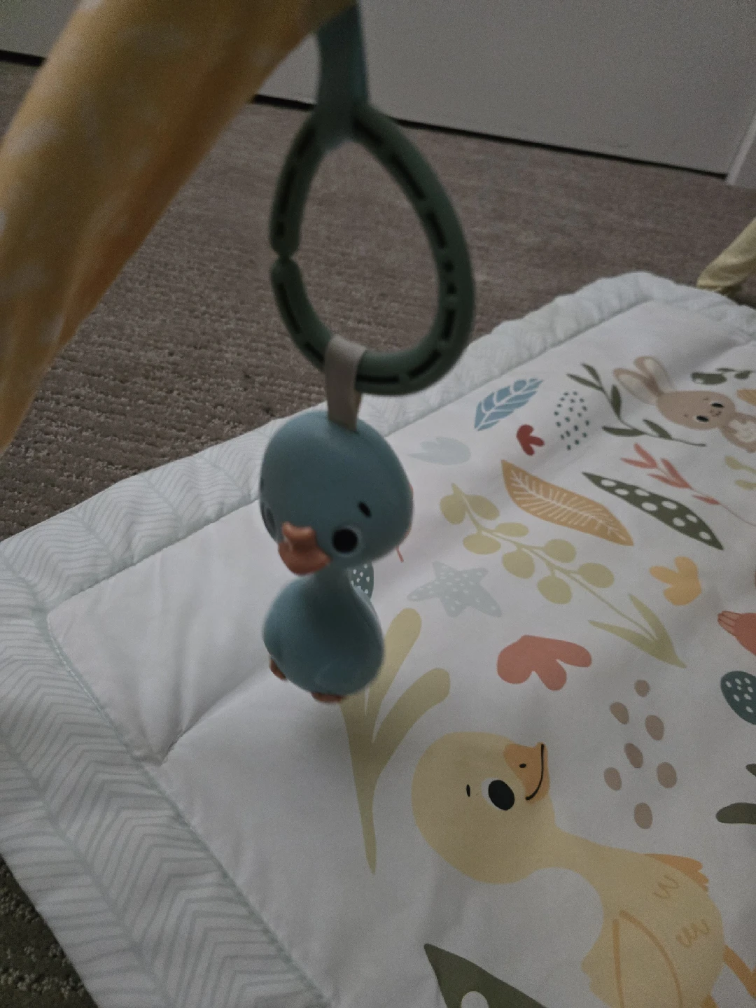 Fisher-Price Baby Activity Gym - photo 3