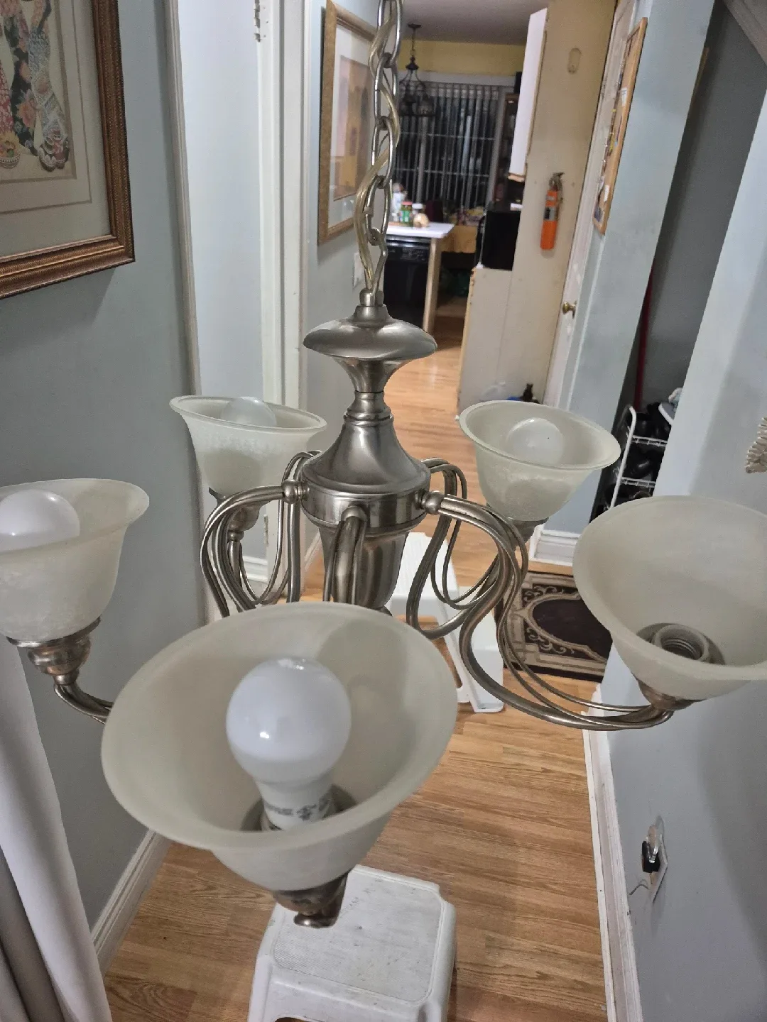 Chandelier with 5 frosted glass shades image indicator(2)