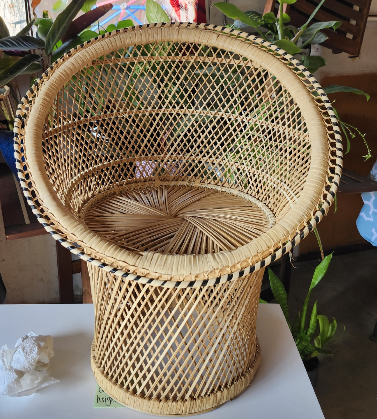 Kids Wicker Peacock Chair