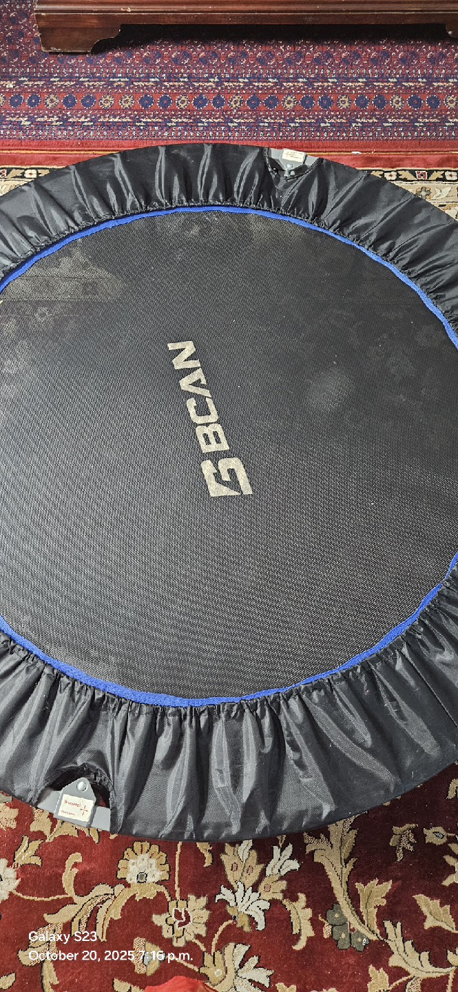 BCAN Foldable Mini Trampoline - photo 2
