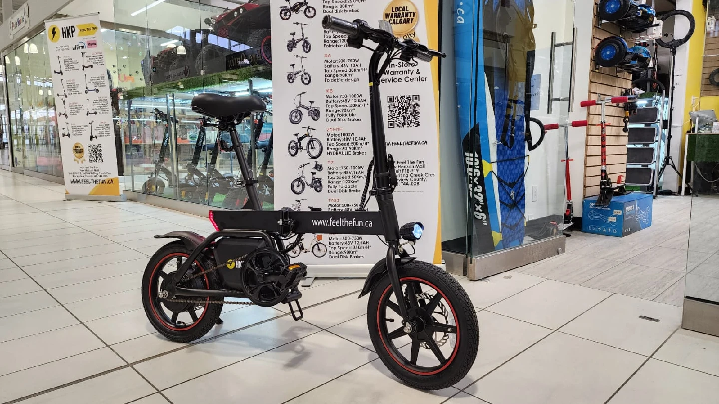 B-20 Feel The Fun E-Bike - photo 5