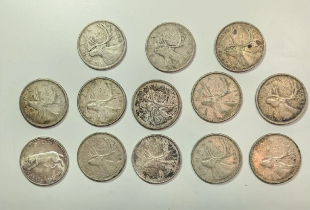 13  Canadian Silver Quarters various years image indicator(2)