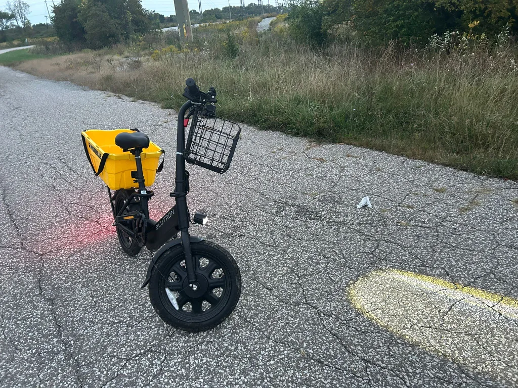 Blutron E-Bike with Basket & Hauler image indicator(4)