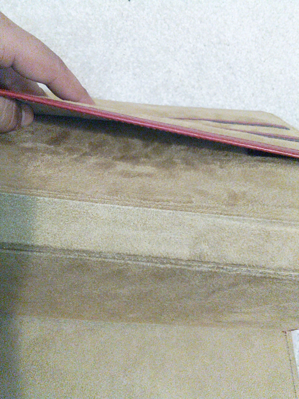 Apple iPad 64GB with Case - photo 3