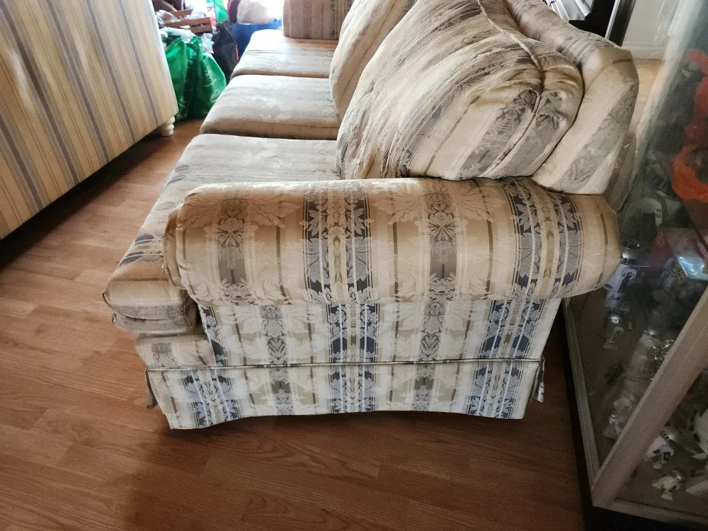 Patterned Sofa image indicator(2)