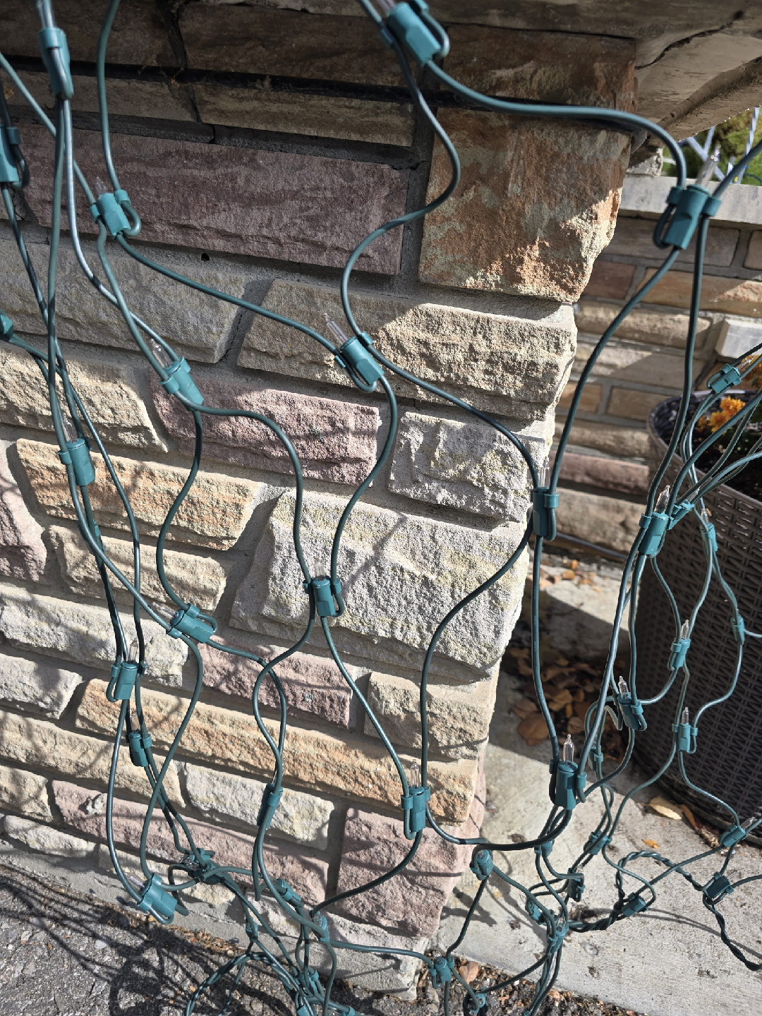 🎄Net Christmas Lights - White