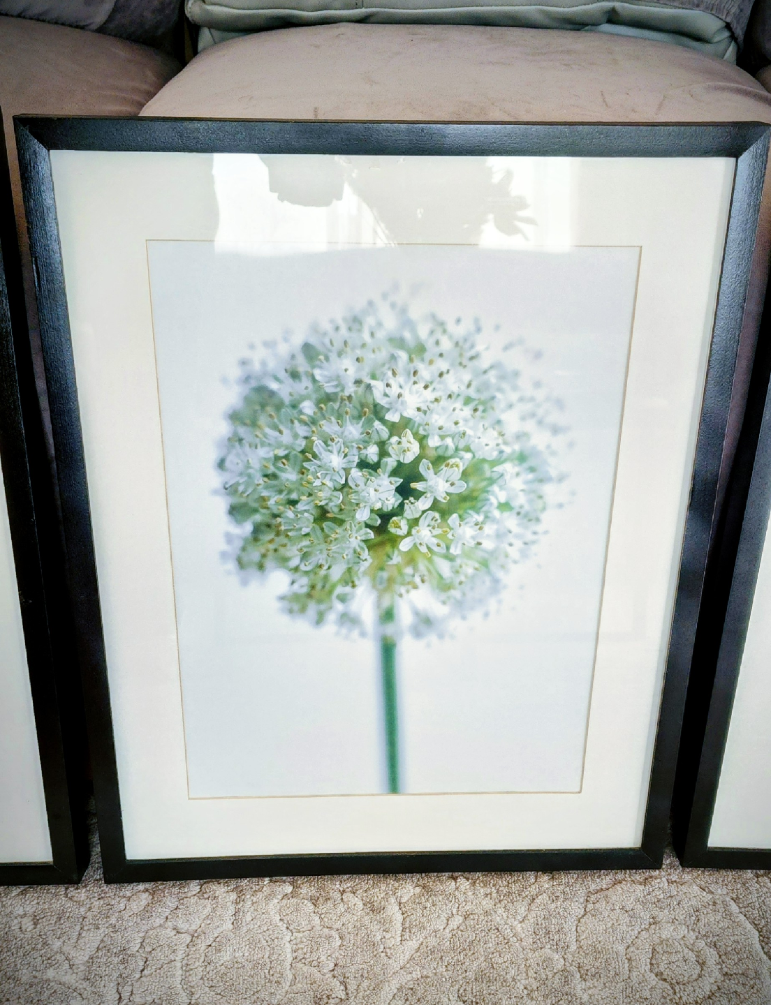 3 set Ikea decor plant photos - photo 4