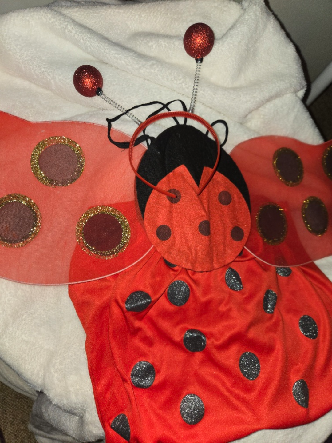 Ladybug Costume 🐞 🥕 - photo 2