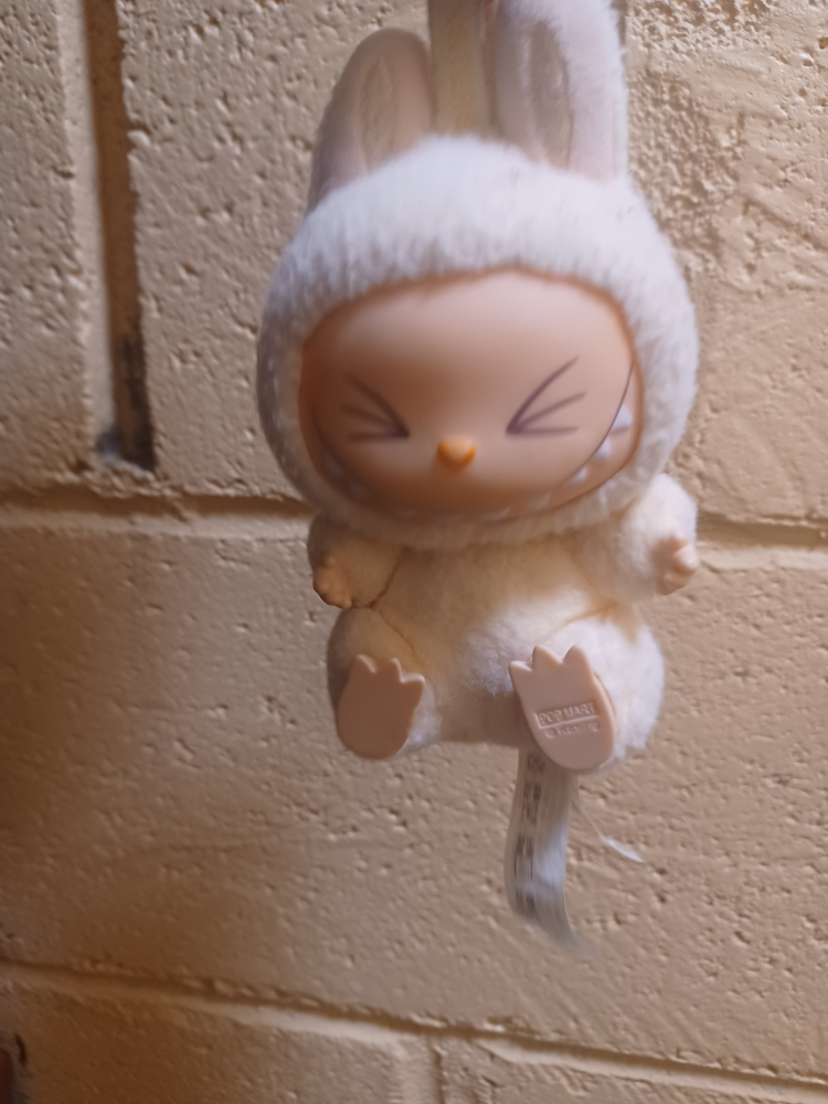 Pop Mart Kaasing Plush Doll - photo 3