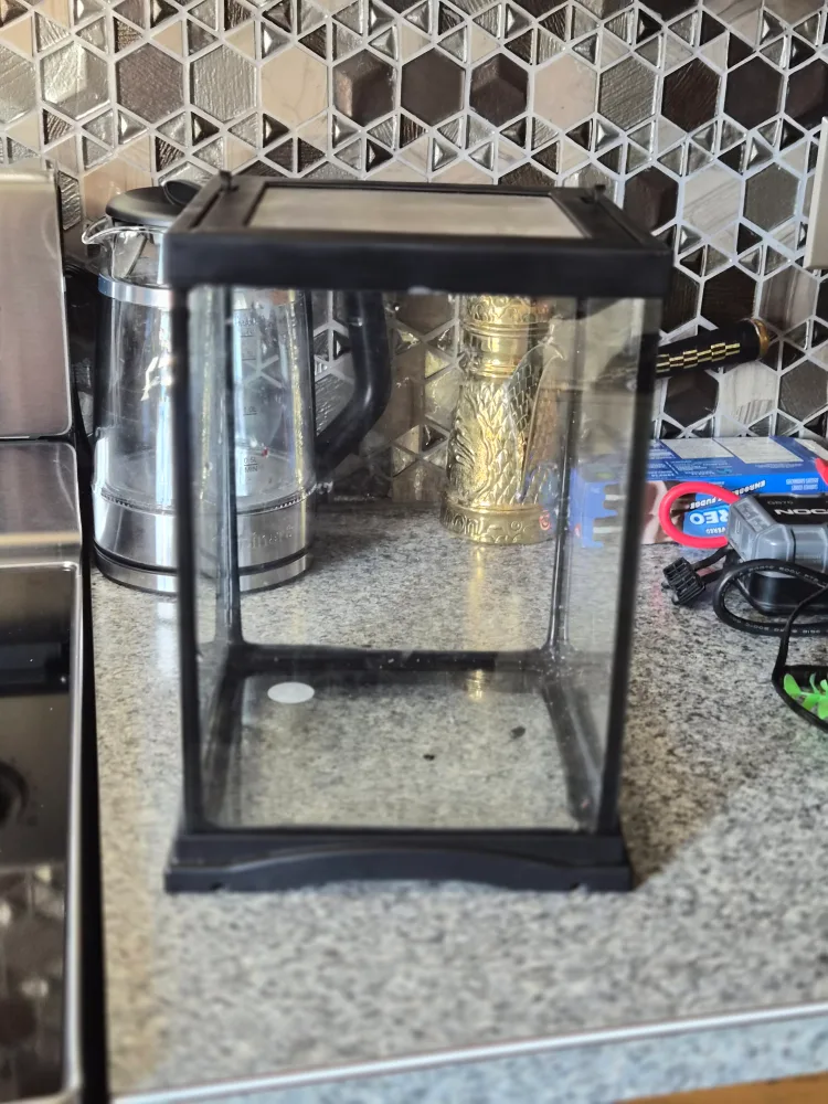 3 Gallon Fish Tank with accessories image indicator(3)