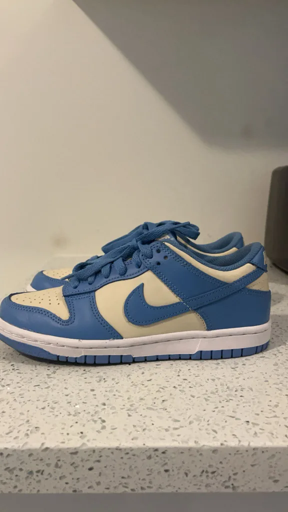 Nike Dunk Low University Blue Shoes image indicator(5)