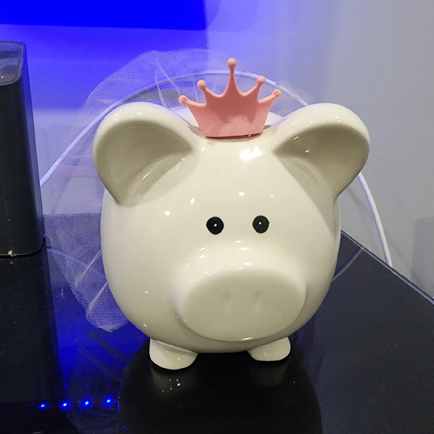 Piggy Bank with Crown and Tutu