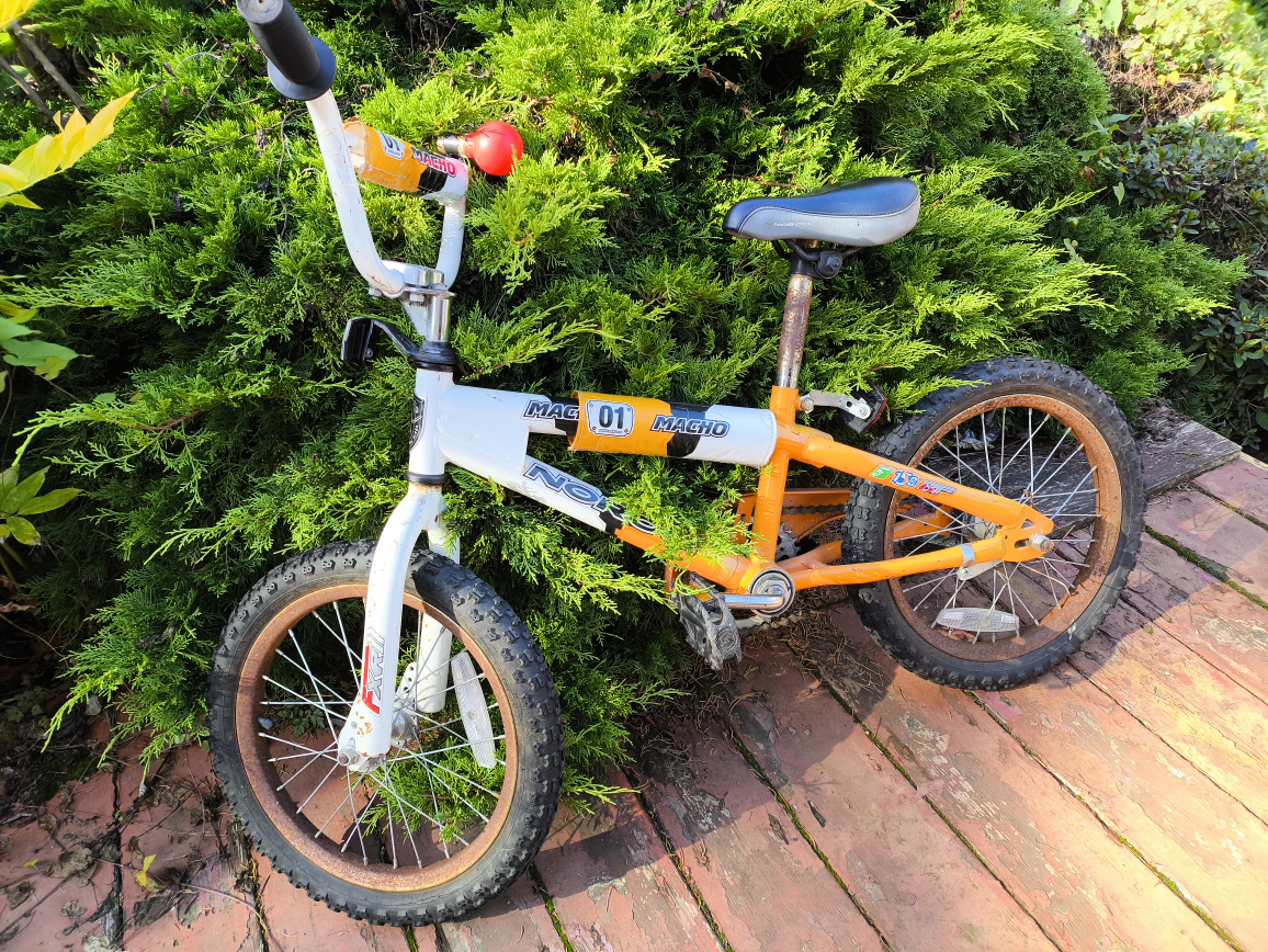 16" kid bike pick up  in White Rock
