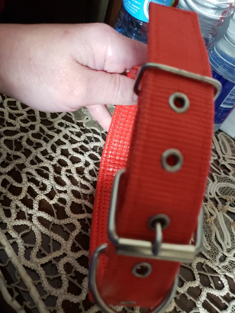 Red Dog Collar new never used image indicator(5)
