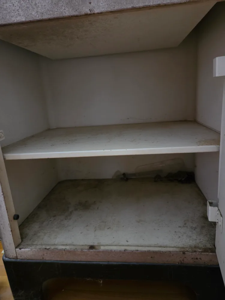 Vintage Metal Medical Cabinet with Glass Door image indicator(3)