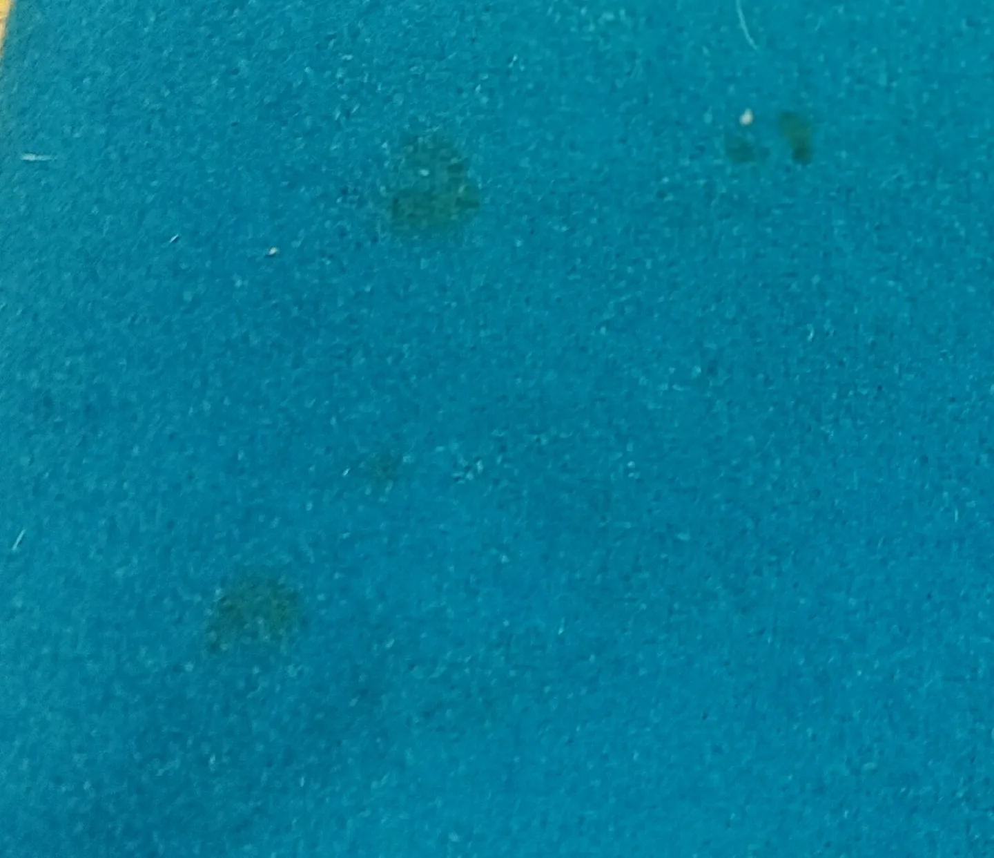 Vintage Niccolini Teal Wool Coat image indicator(9)