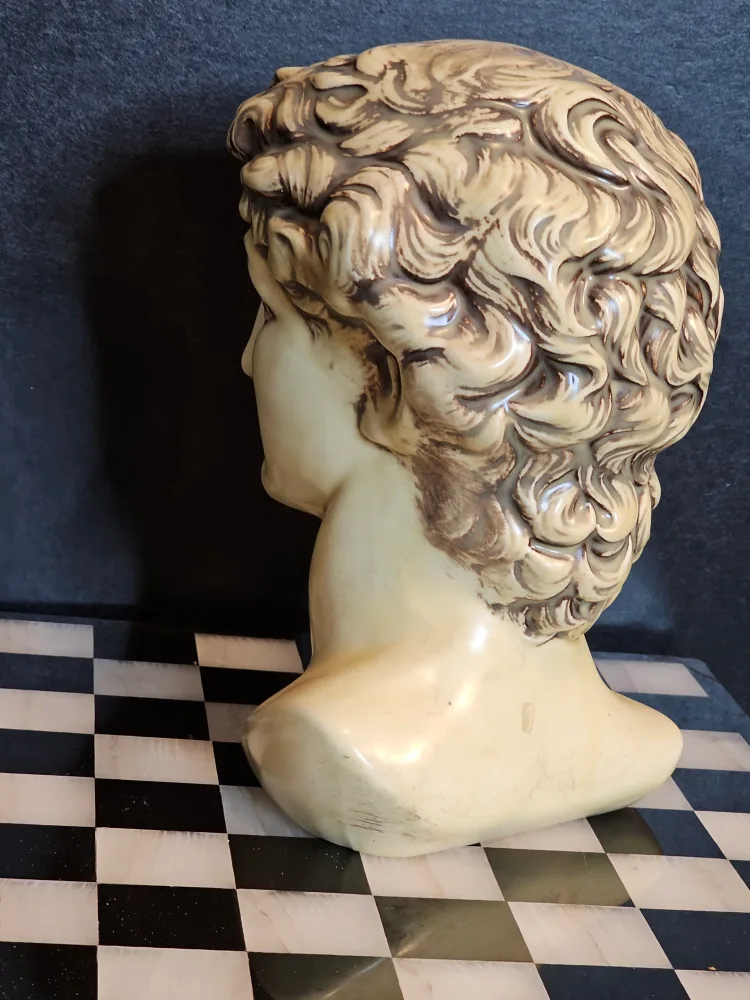 David Bust Statue image indicator(3)