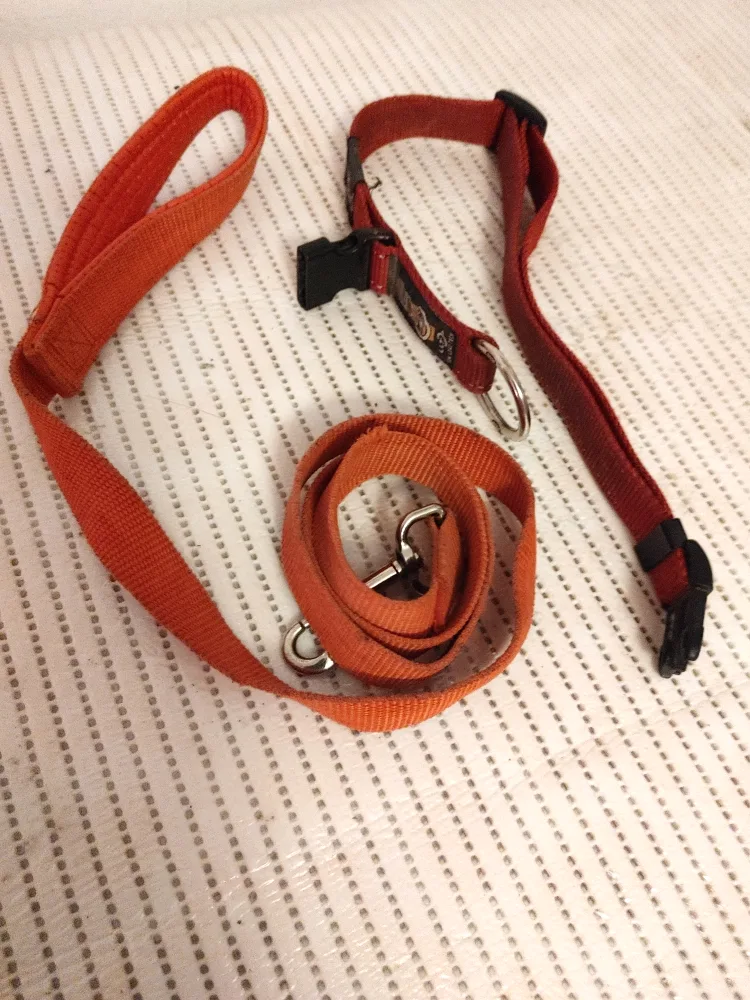 Ultra Leash Tech Dog Collar and Leash Set thumbnail