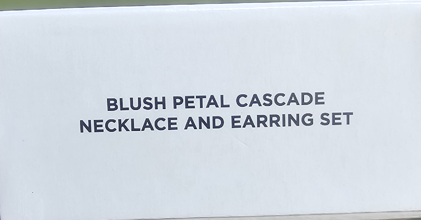 🧡 Blush Petal Cascade Necklace & Earring Set - photo 2