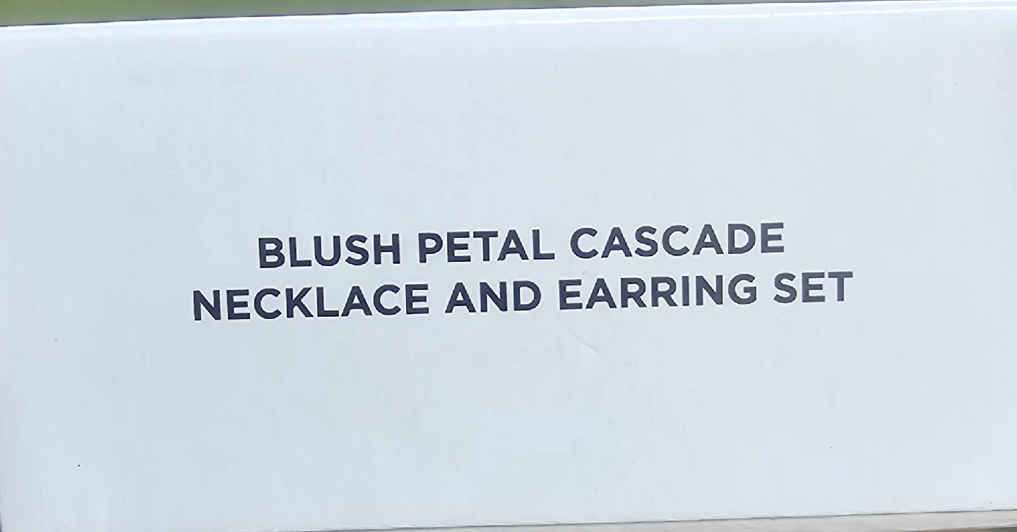 🧡 Blush Petal Cascade Necklace & Earring Set image indicator(2)