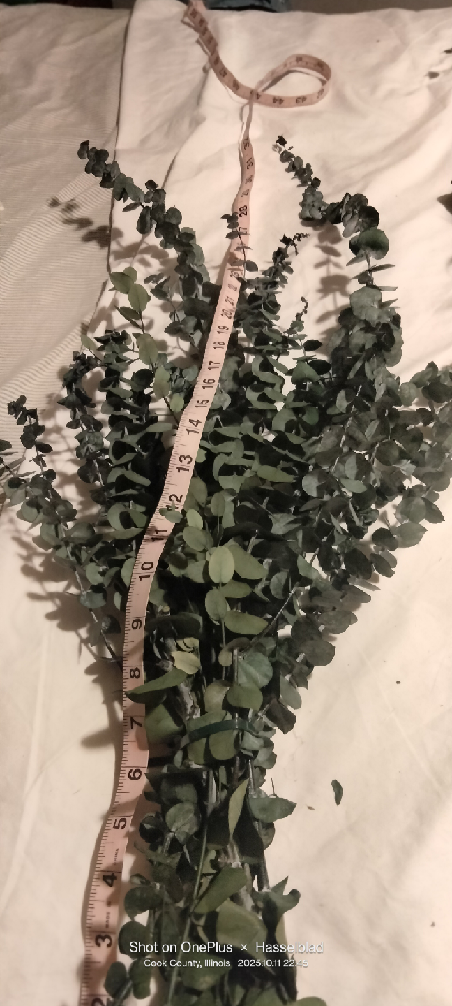 Artificial Eucalyptus Bundle - photo 2