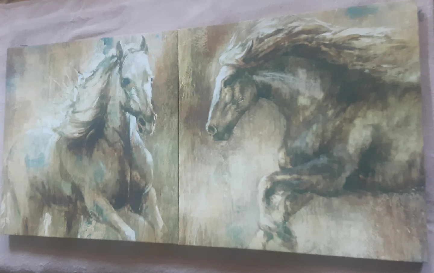 Horse Canvas Print Wall Art image indicator(3)