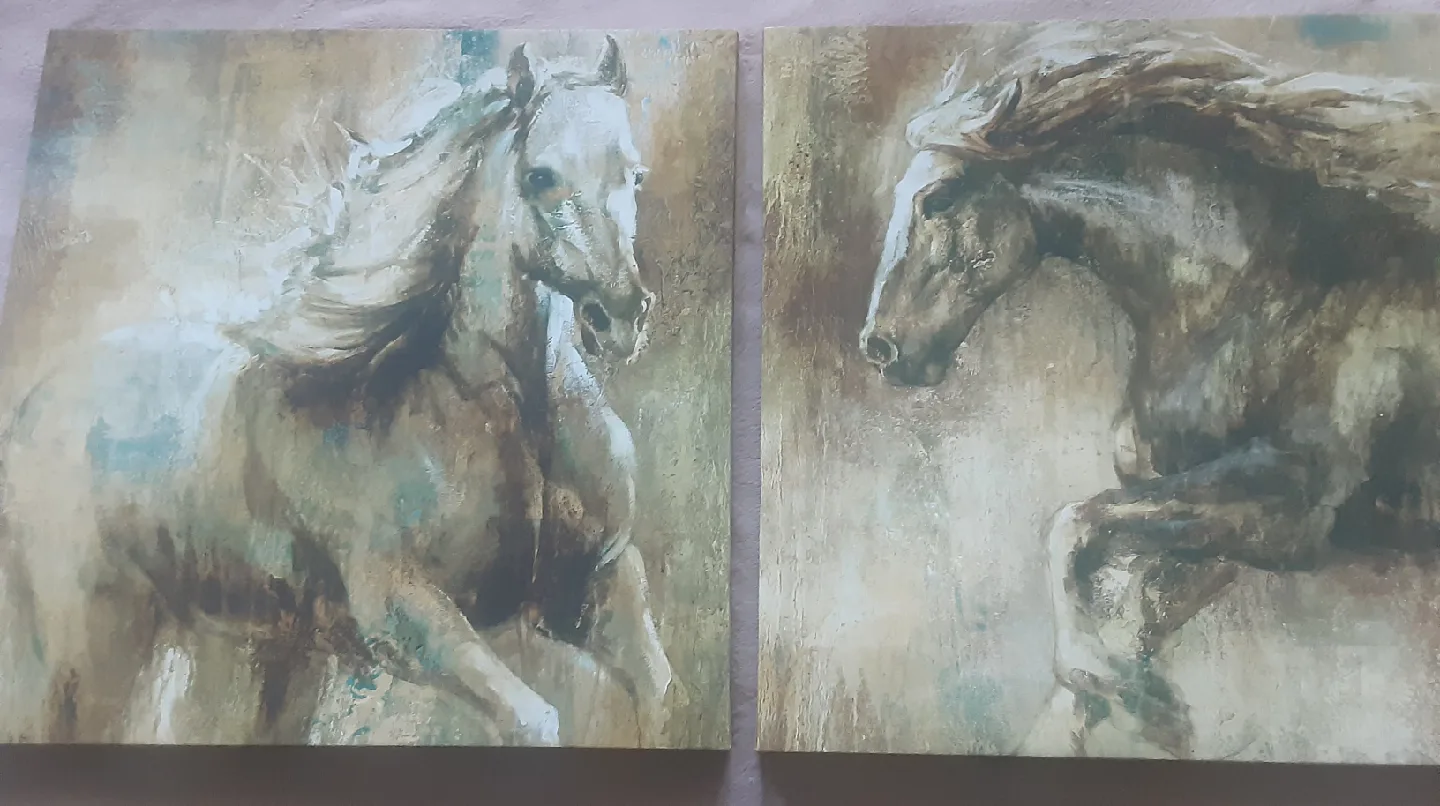 Horse Canvas Print Wall Art image indicator(6)