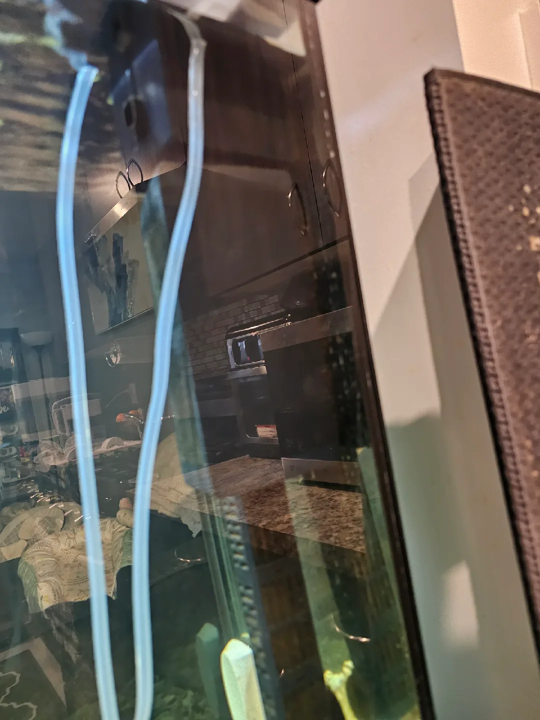 aquarium with accessories image indicator(5)