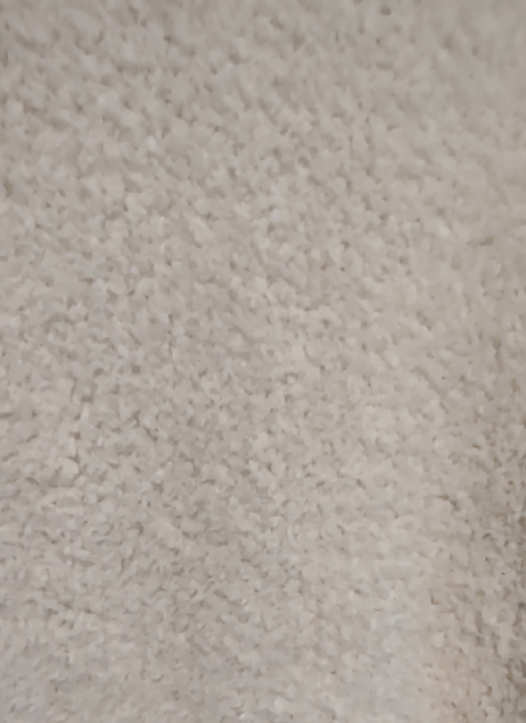 Aerie Cream Sherpa Jacket - photo 5