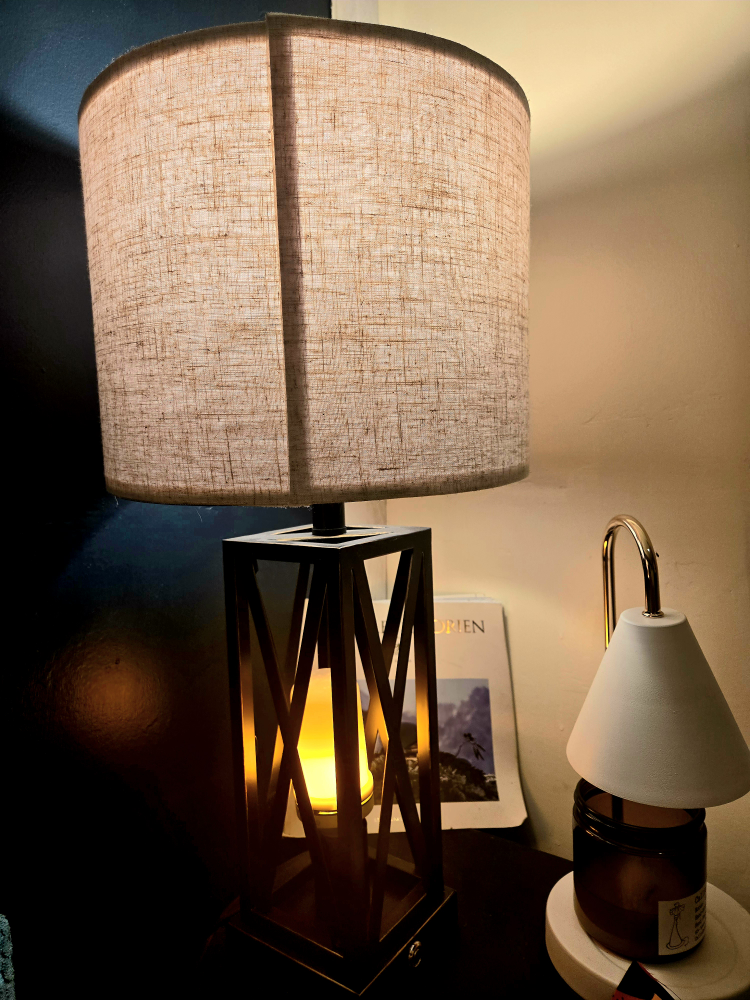 Two Table Lamps with Shades and extra fire burning bulbs