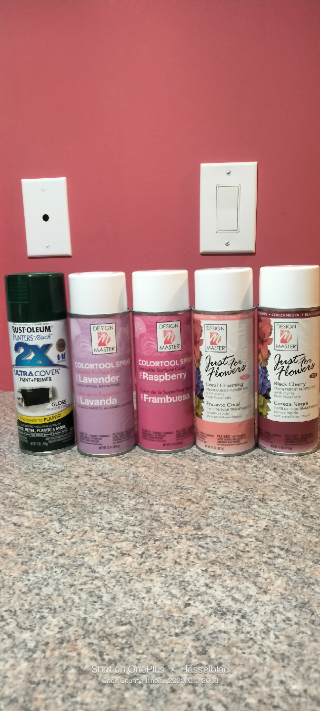 Flowers paint