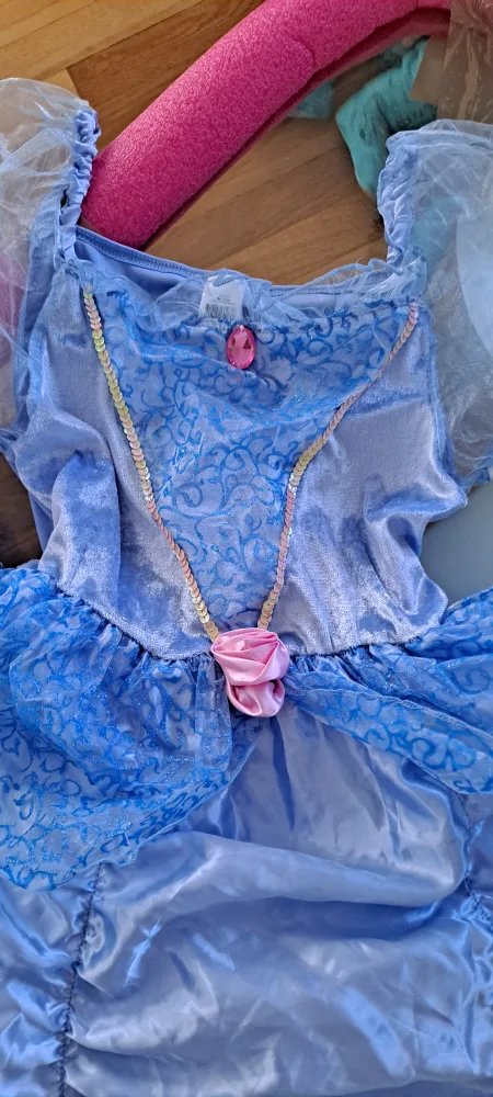 Blue Cinderella Dress image indicator(2)