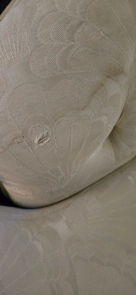 Antique Style Sofa and Loveseat Set - Cream image indicator(3)