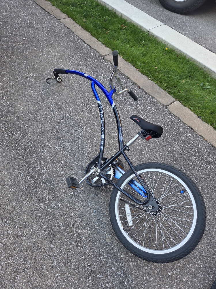 Trail-A-Bike Bicycle Trailer