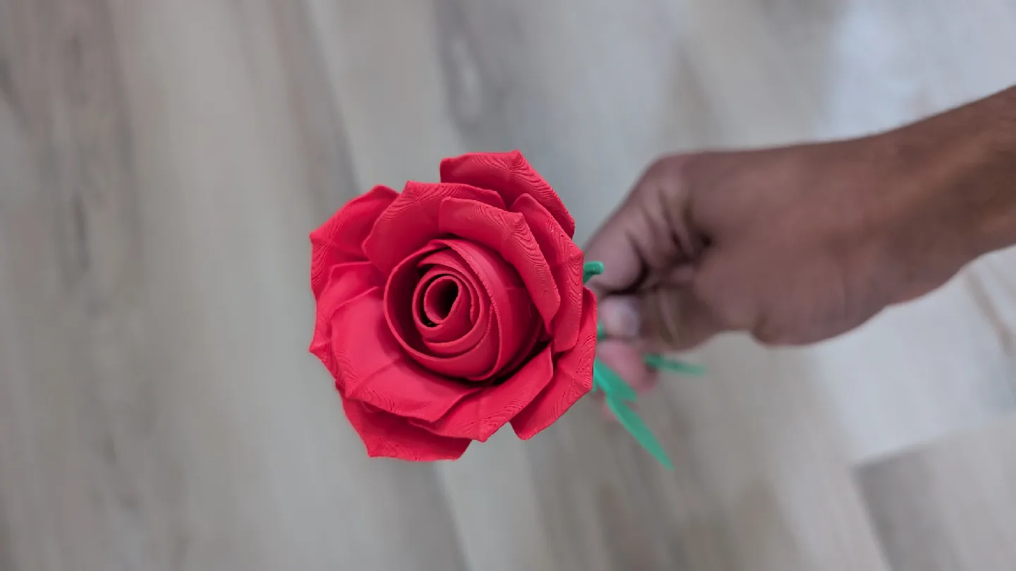 Artificial Roses - Red & White image indicator(4)