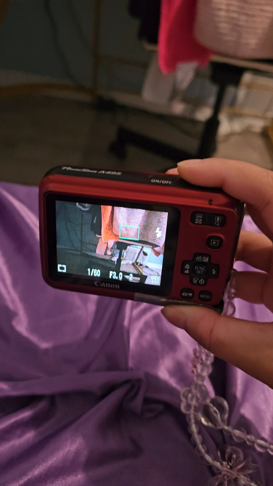Canon PowerShot A495 Digital Camera - Red