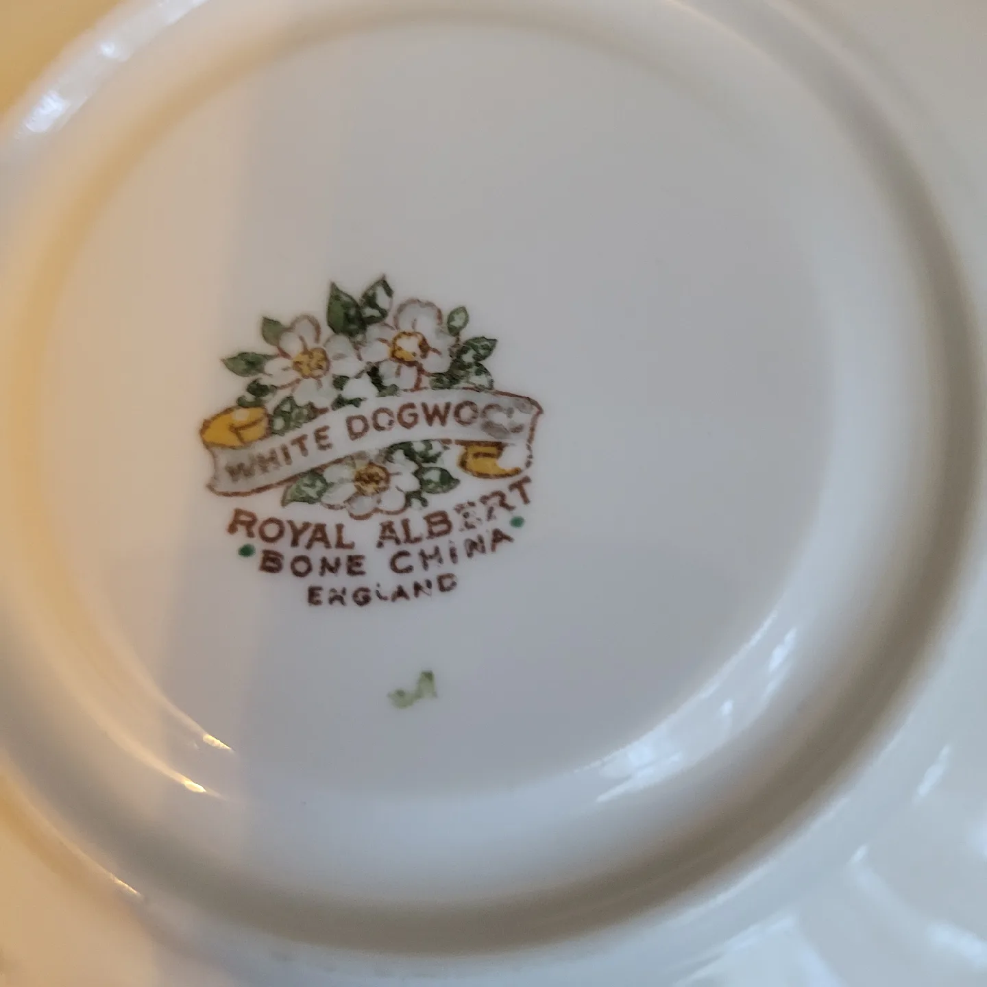Royal Albert White Dogwood Tea Cup & Saucer Set image indicator(4)