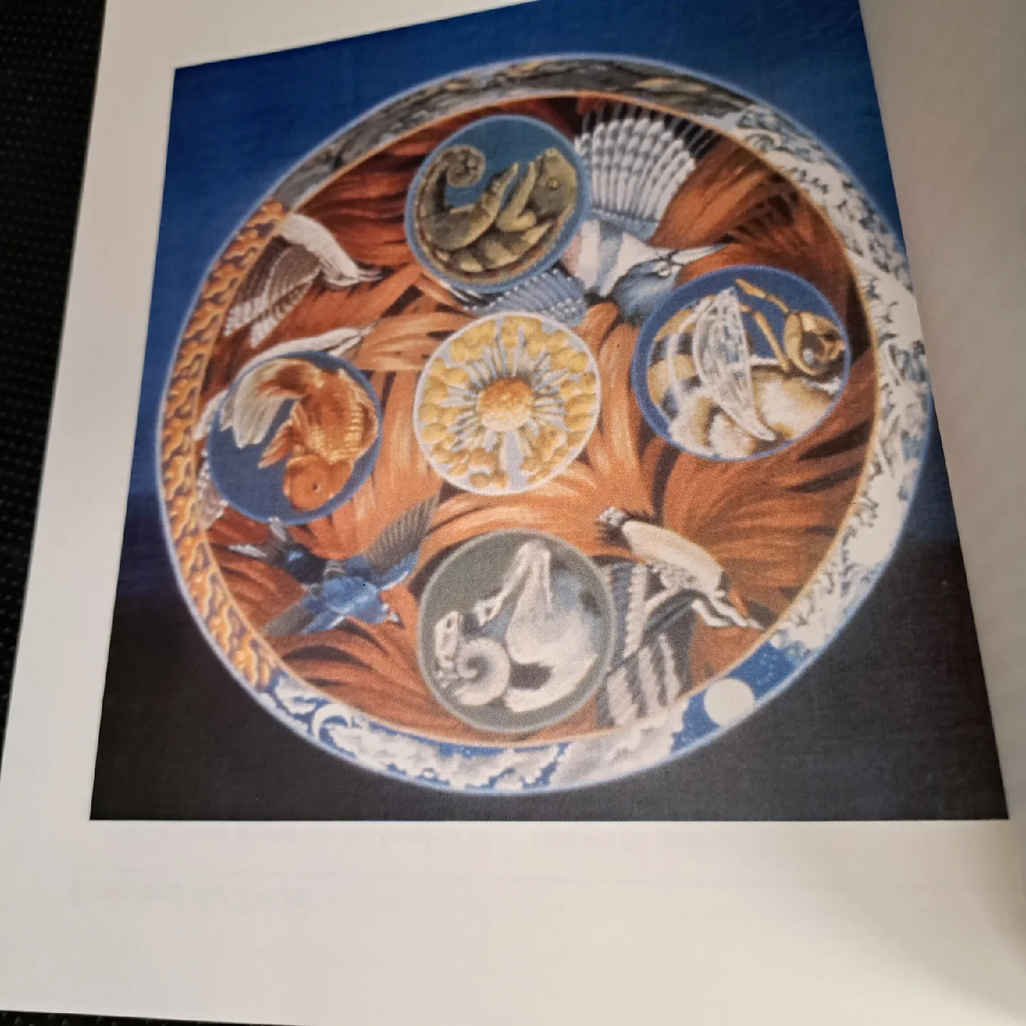 Sync Collections by Julie Oakes image indicator(2)