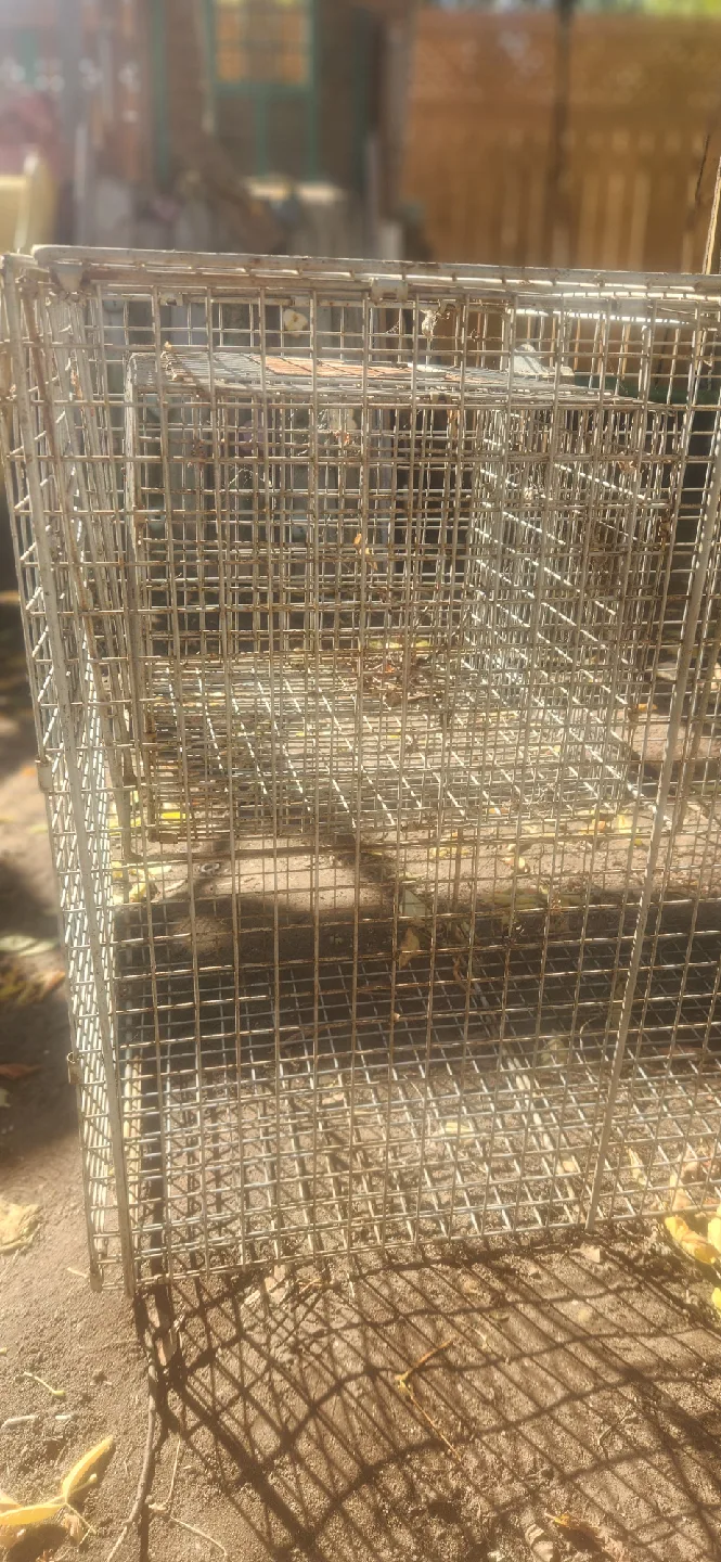 Havahart Easy Set Live Animal Cage Trap image indicator(2)