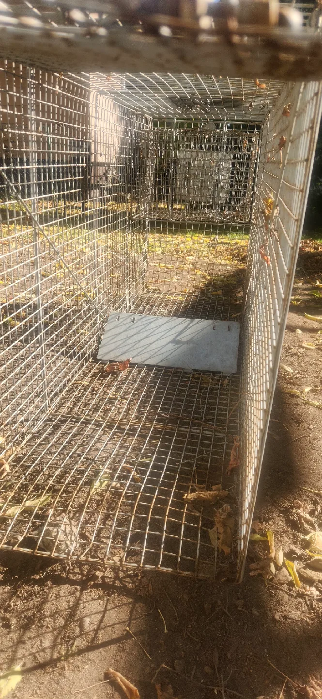 Havahart Easy Set Live Animal Cage Trap image indicator(4)