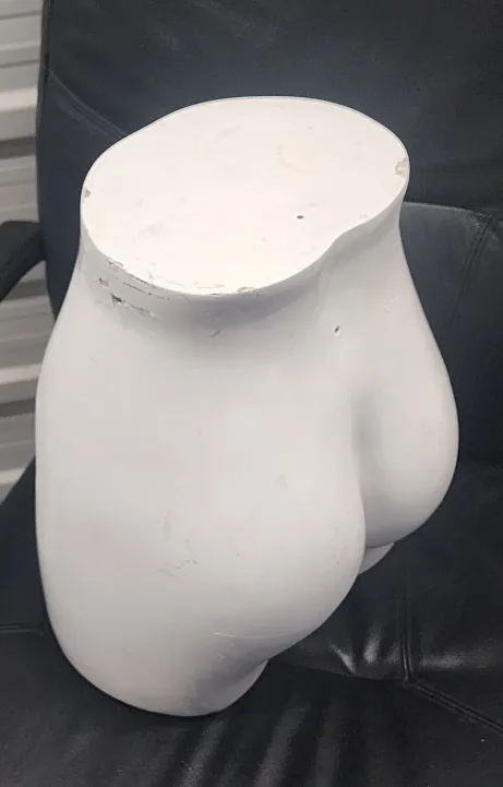 Women Torso Mannequin image indicator(3)