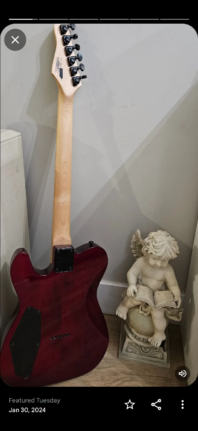 Dean Nash Vegas tele image indicator(3)