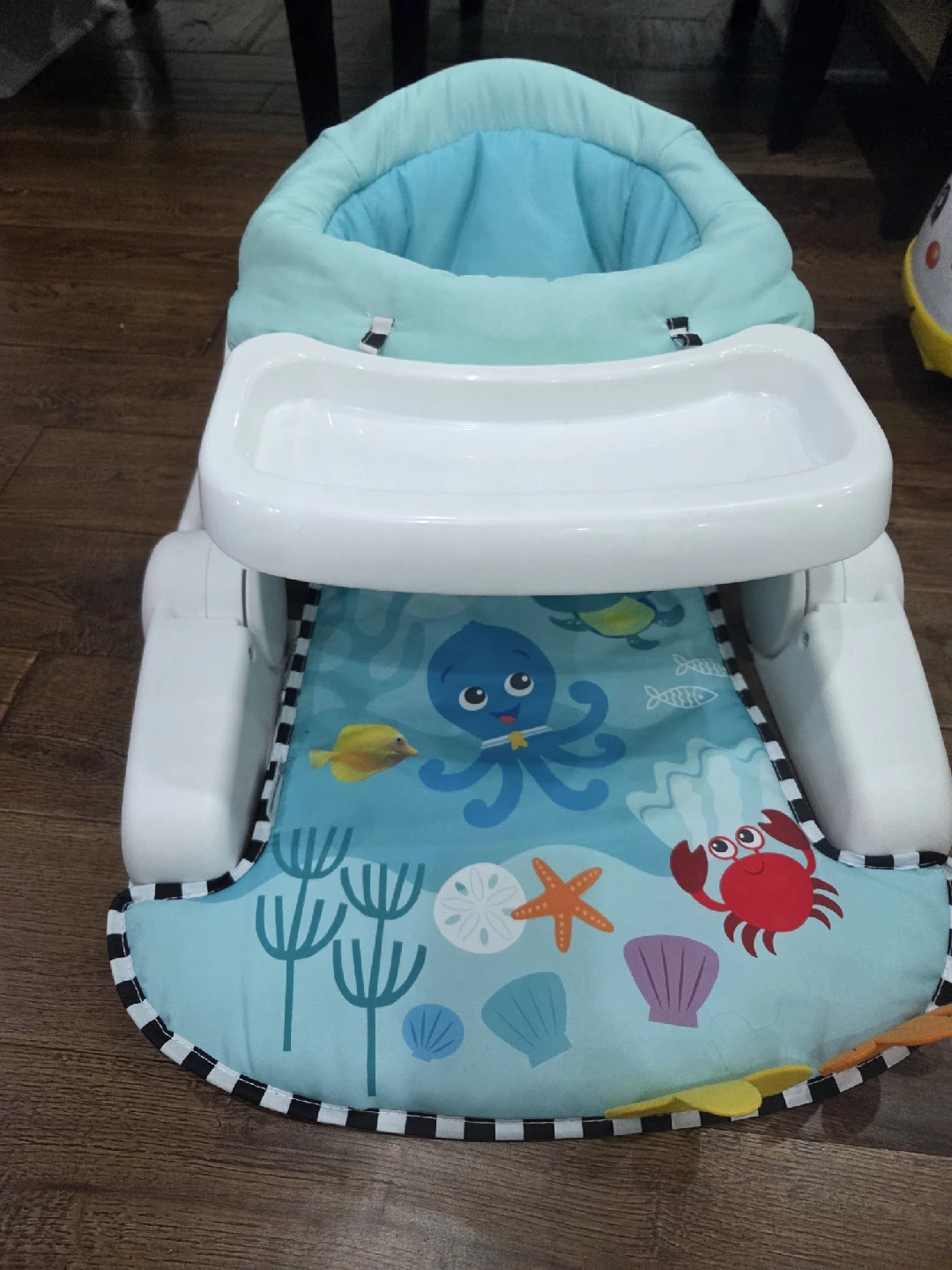 Baby Einstein Sea of Support 2-in-1 Seat (4-12m) - photo 4