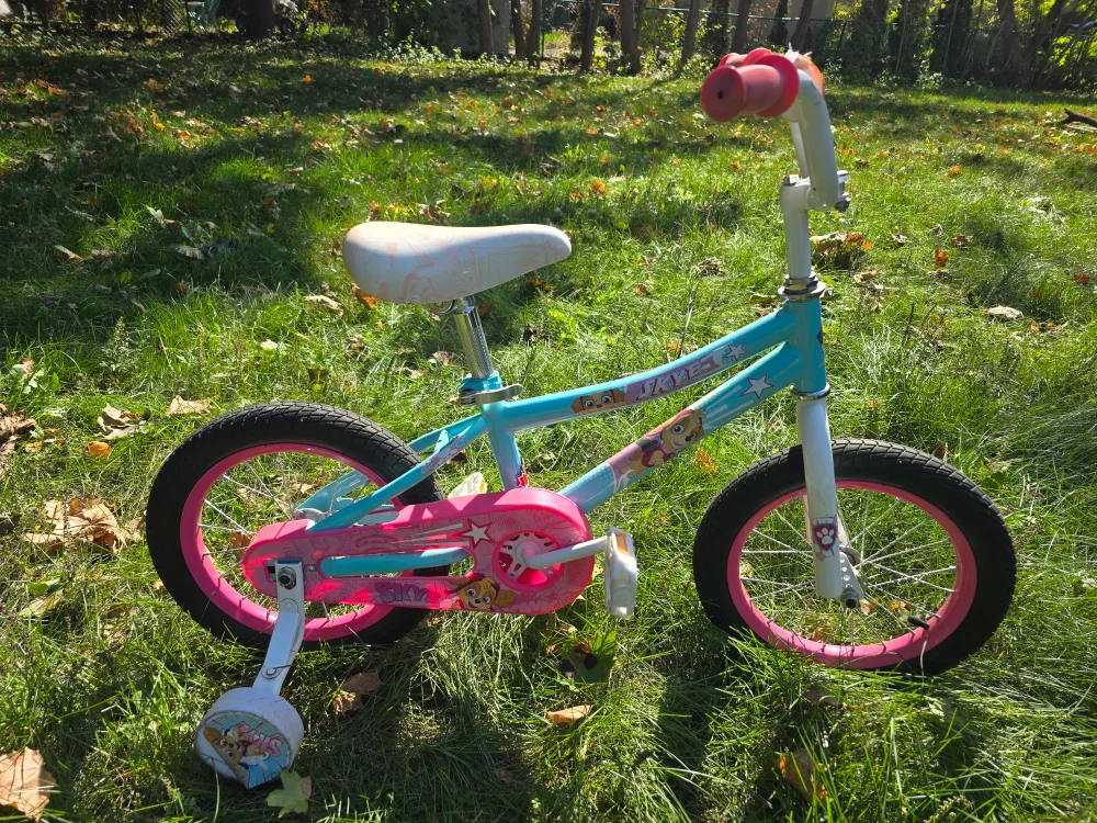 Paw Patrol Skye 14-inch Kids Bike image indicator(2)