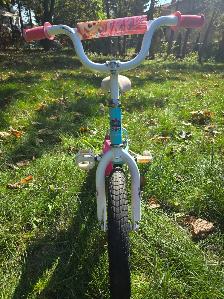 Paw Patrol Skye 14-inch Kids Bike image indicator(3)