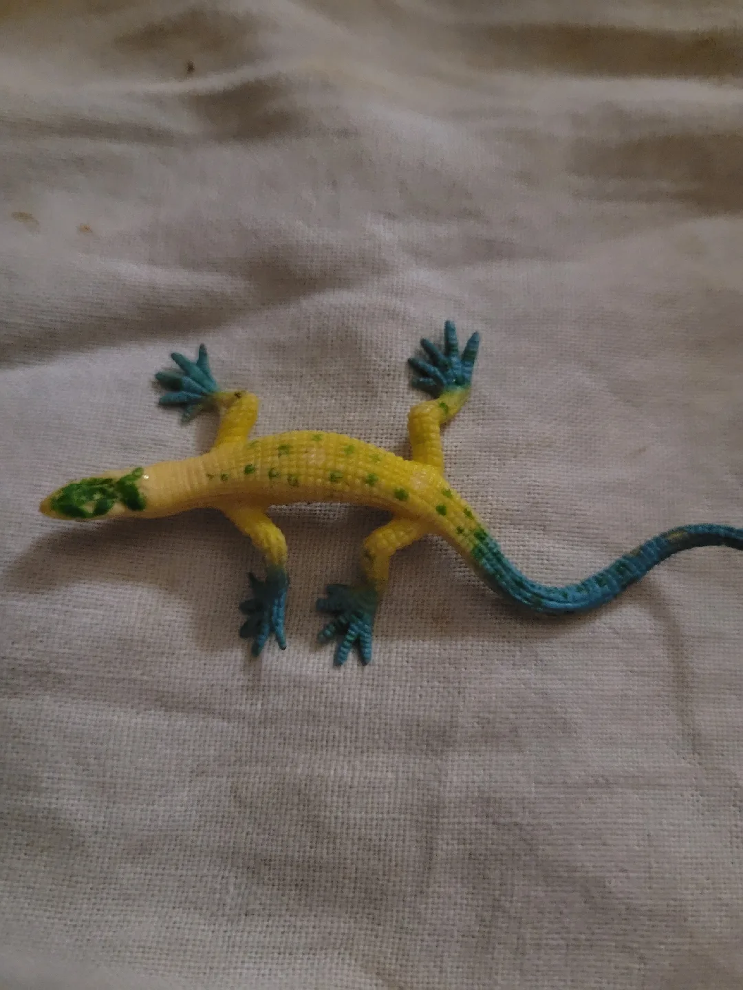 toy lizard image indicator(3)