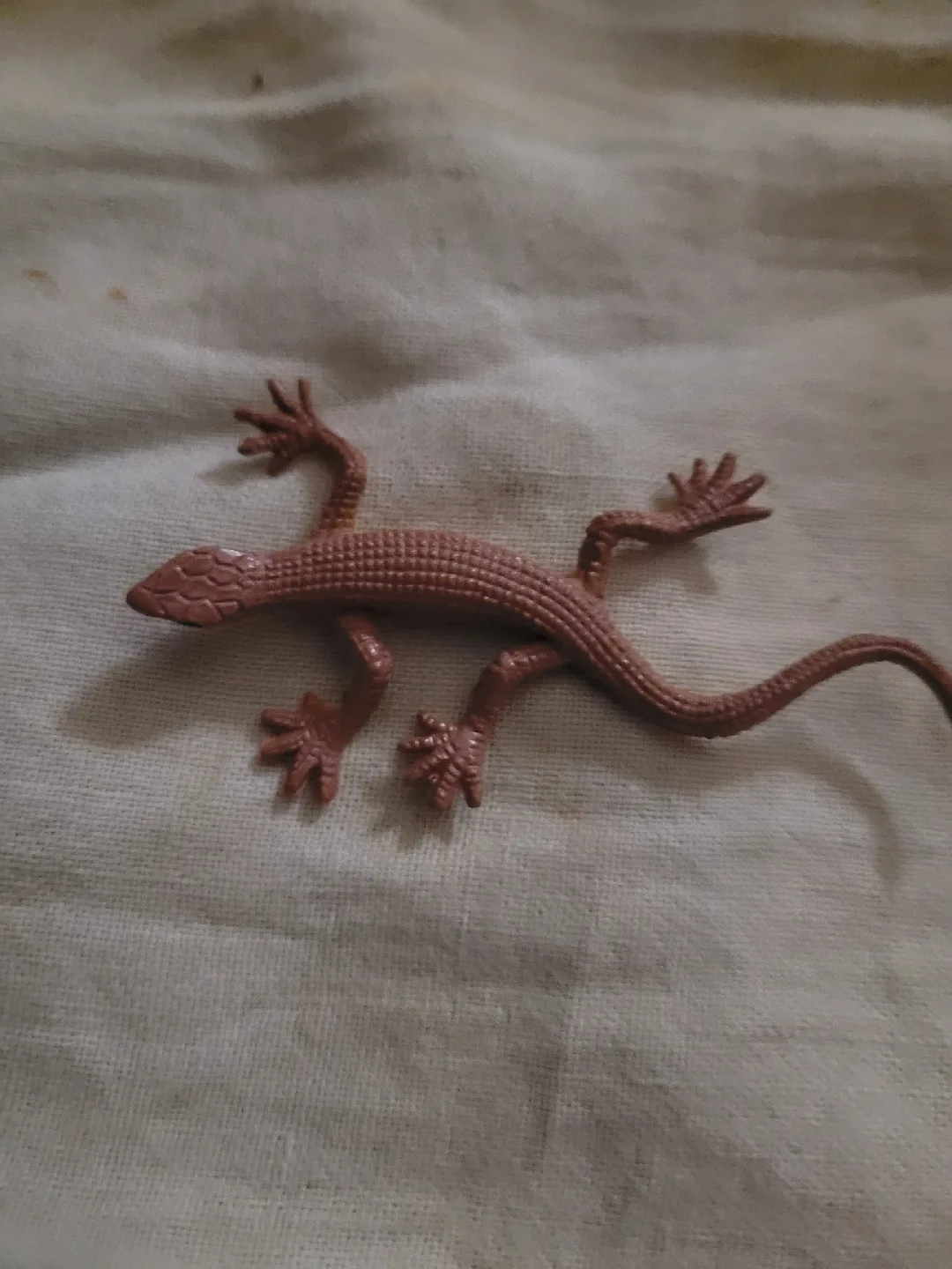 toy lizard image indicator(4)