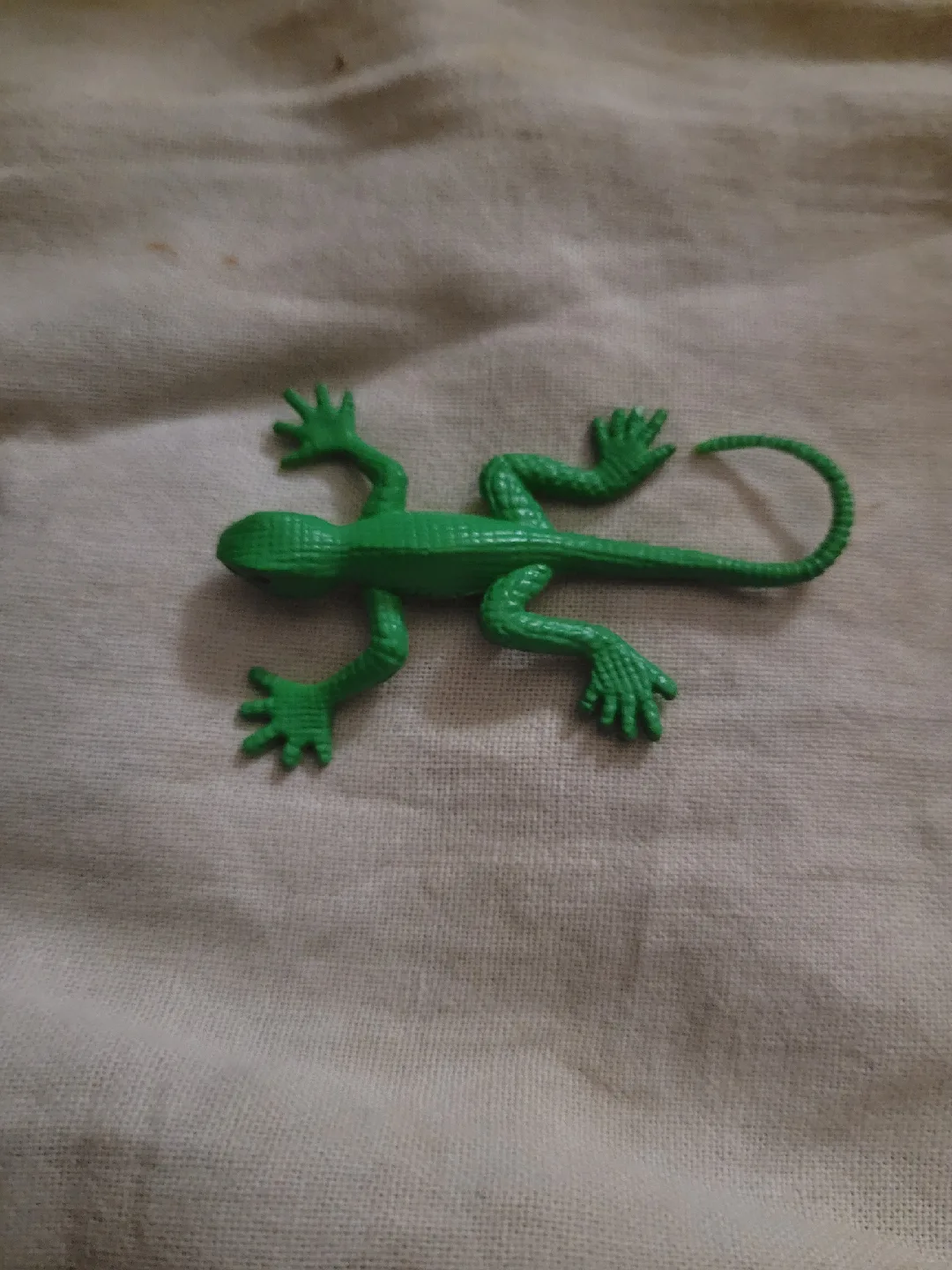 toy lizard image indicator(5)